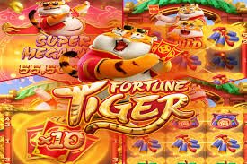 Football and volleyball sports betting options at CEO Casino